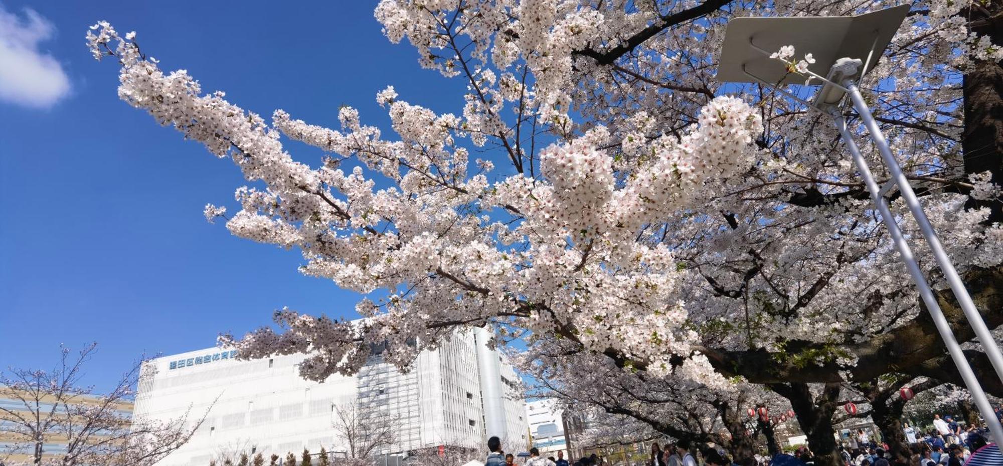 明月楼三零二 Apartment Tokyo Exterior photo